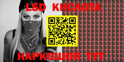 прущие грибы Ижевск