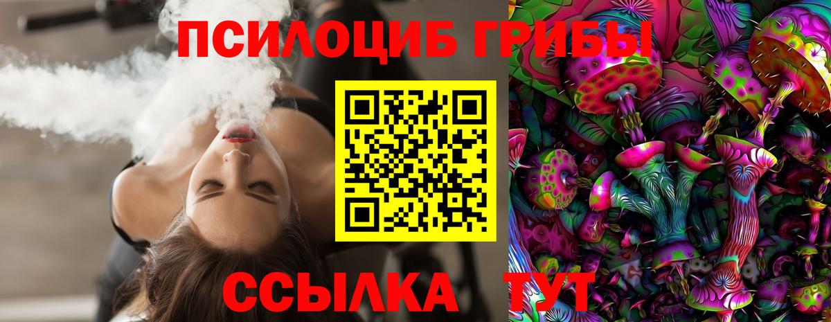 Псилоцибиновые грибы прущие грибы  Вход с VPN  Горно-Алтайск 